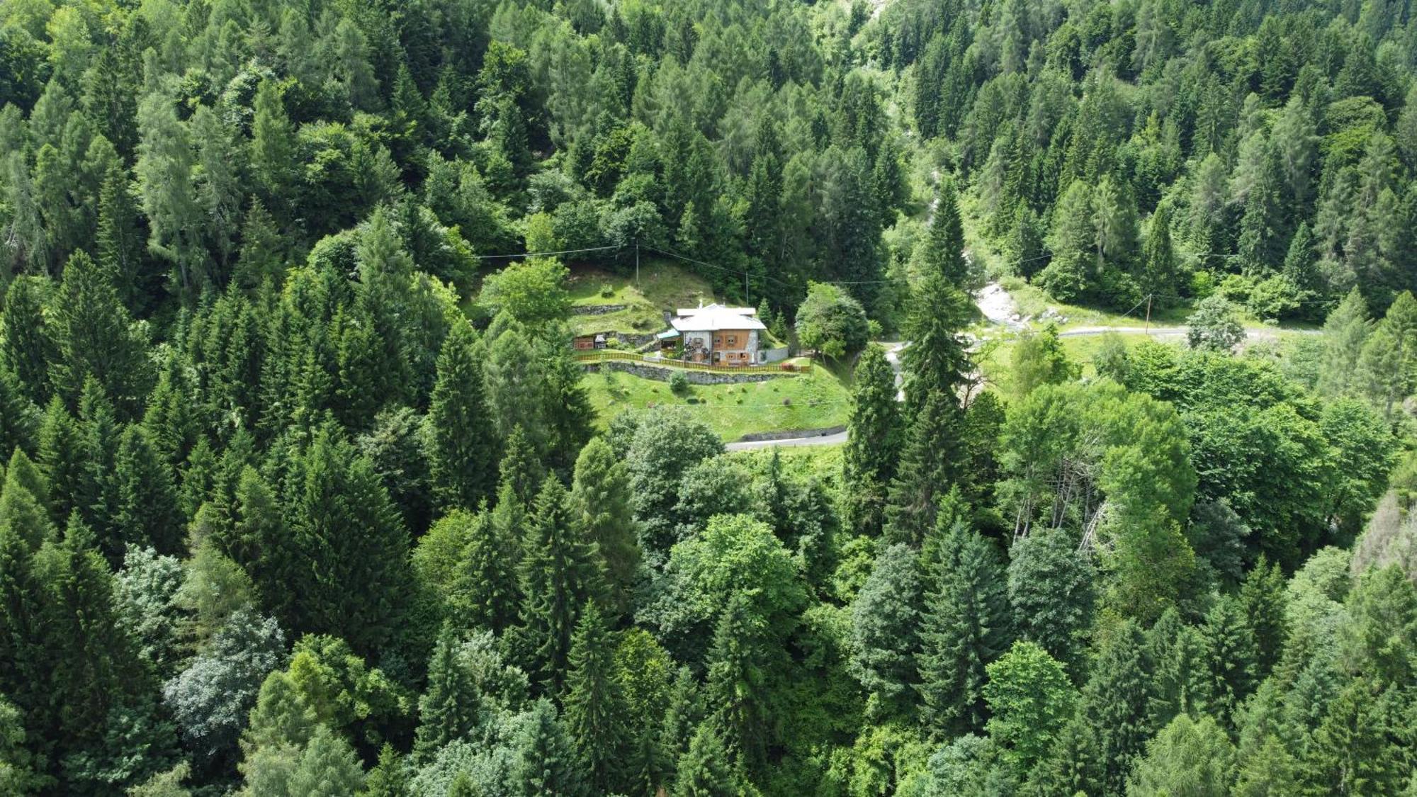 Maso Moretto Pieve Tesino Exterior foto
